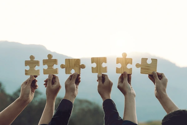 Conectando Solidariedade a Ações Transformadoras